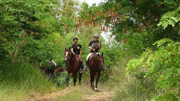 Balade à cheval dans la forêt de l'Étang-Salé, La Réunion
