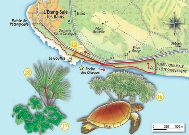 Balade sur le littoral de l'Étang-Salé, La Réunion