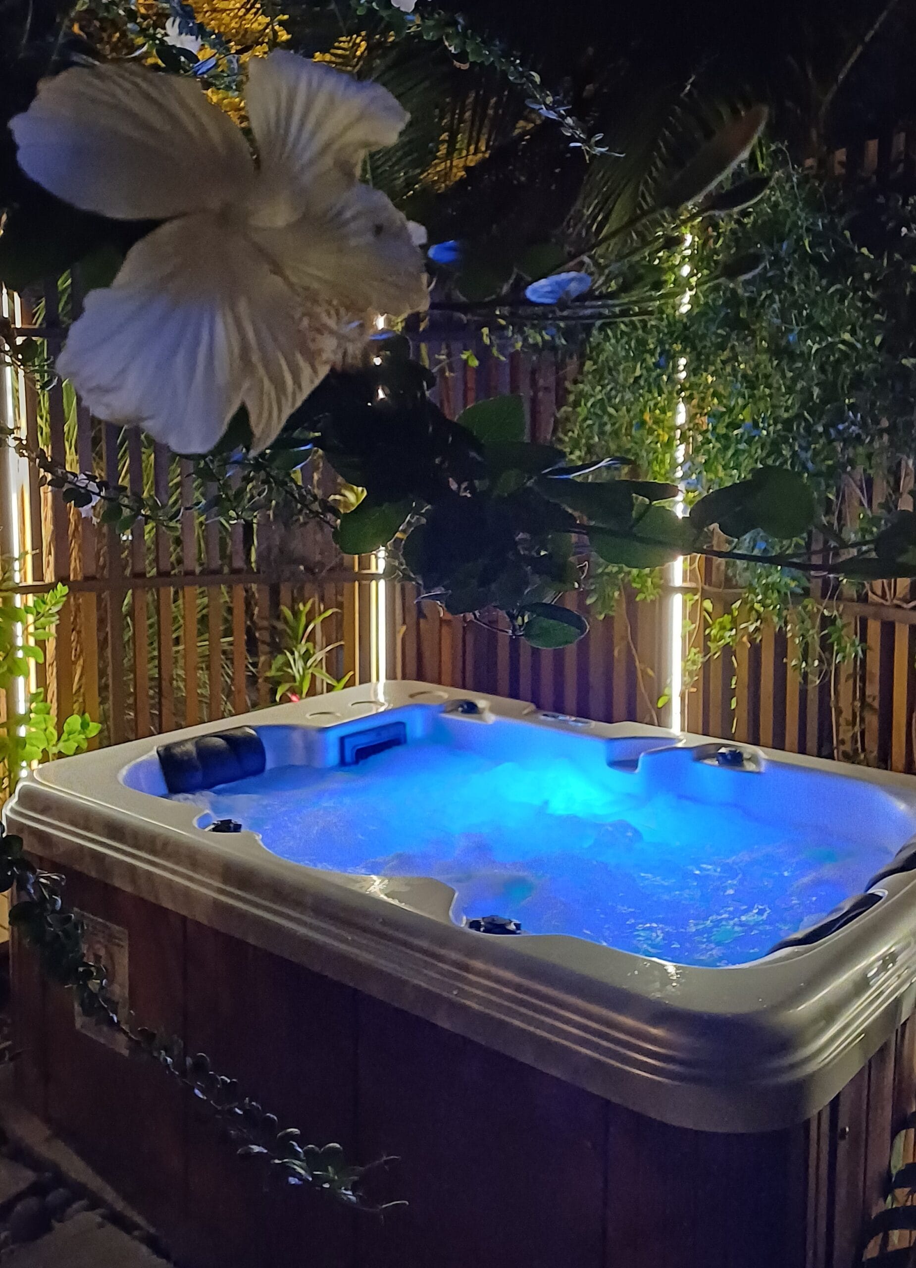 Jacuzzi privatif éclairé la nuit à l'Étang-Salé, La Réunion