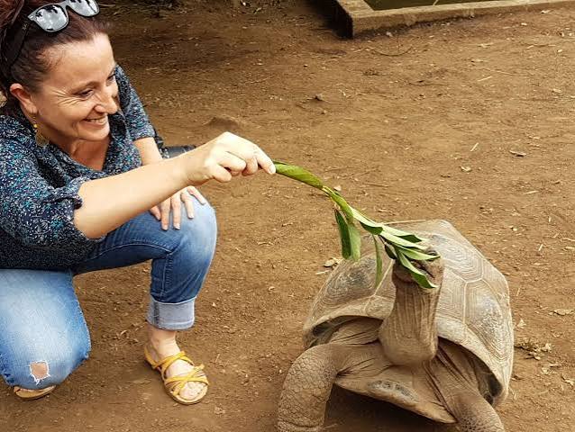 Jardin des Tortues, La Réunion