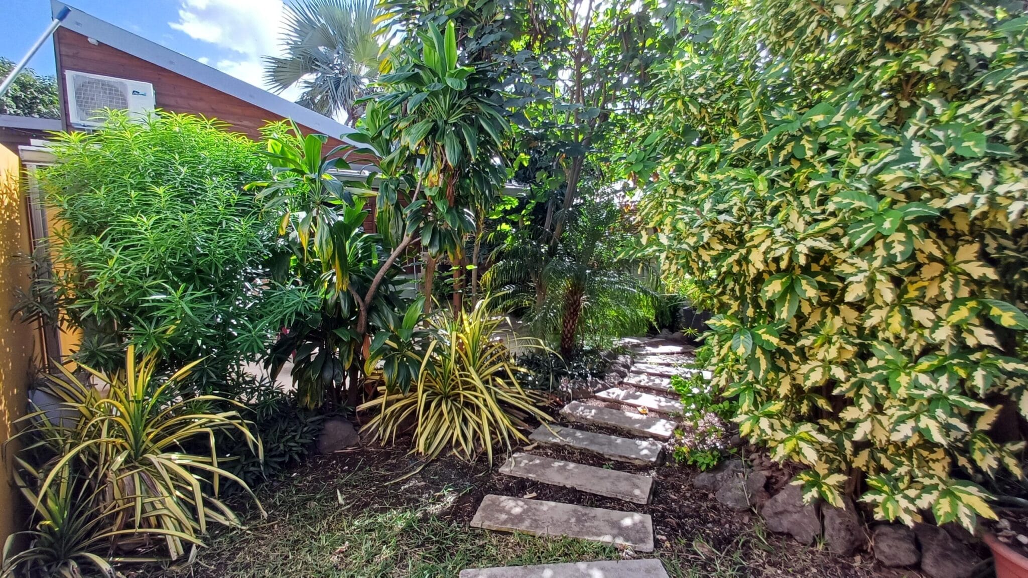 Jardin tropical et allée privée du bungalow, Étang-Salé