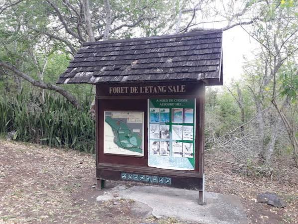 Le Parc des Oiseaux, forêt de l'Étang-Salé, La Réunion