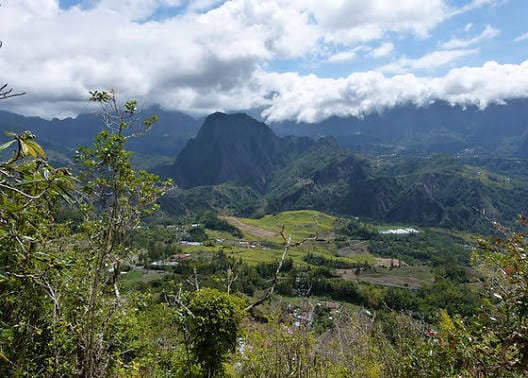 Forêt du Tévelave, La Réunion